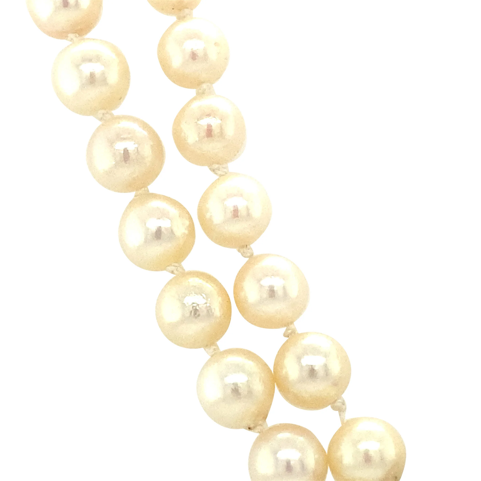 Productafbeelding 4